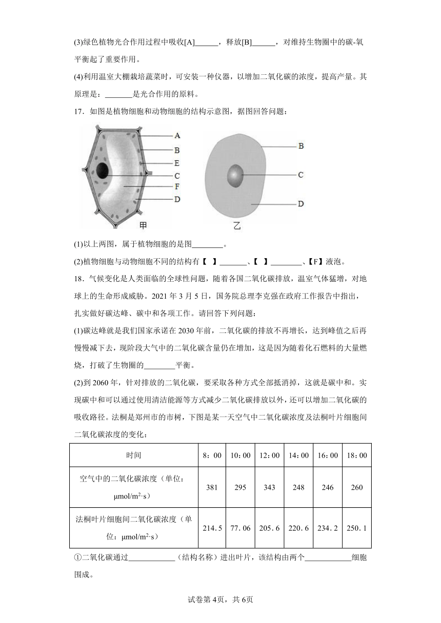 2023-2024学年初中生物苏教版七年级上册期末测试模拟卷（答案+解析）