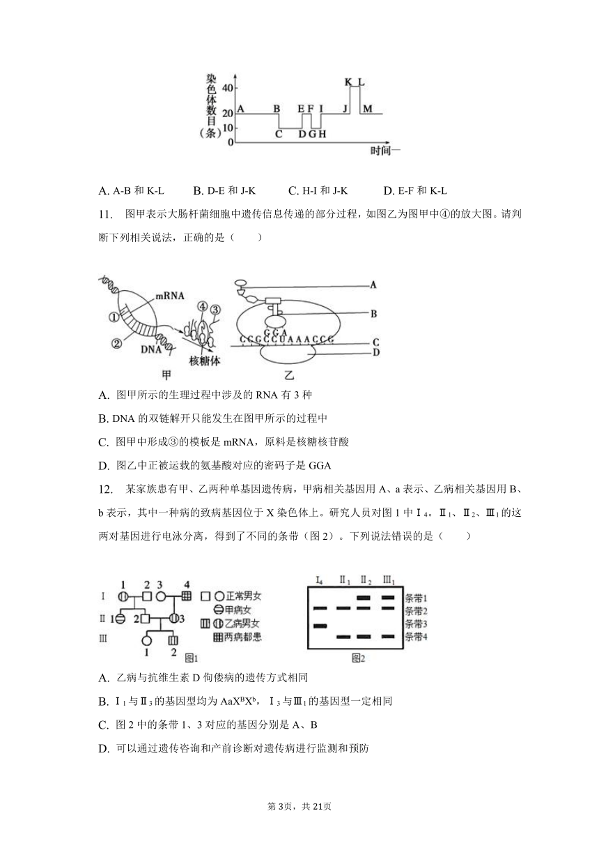 2022-2023学年江西省新余重点中学高一（下）期末生物试卷（含解析）