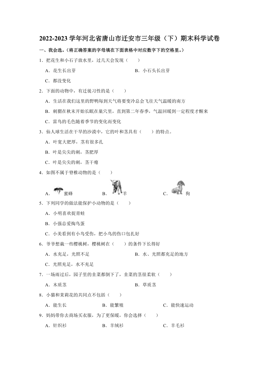 2022-2023学年河北省唐山市迁安市三年级下学期期末科学试卷（含解析）