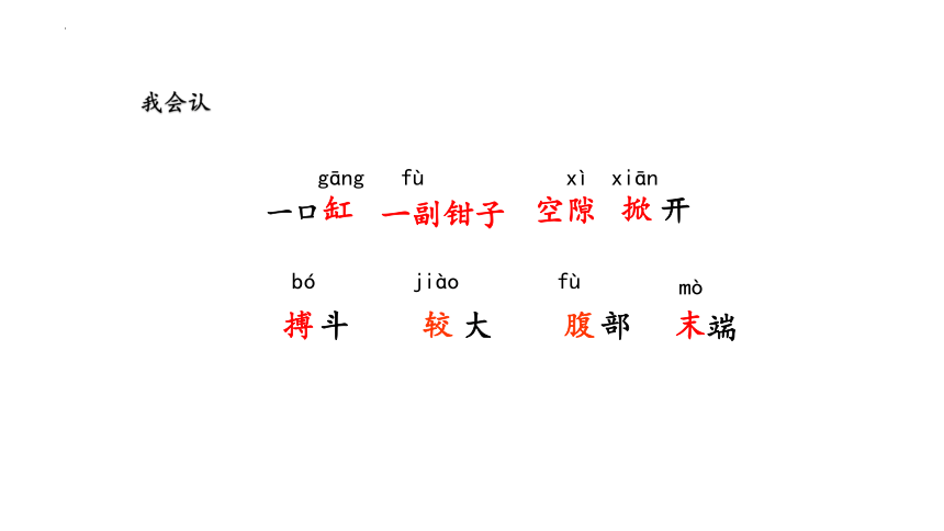 15.《小虾》课件(共25张PPT)