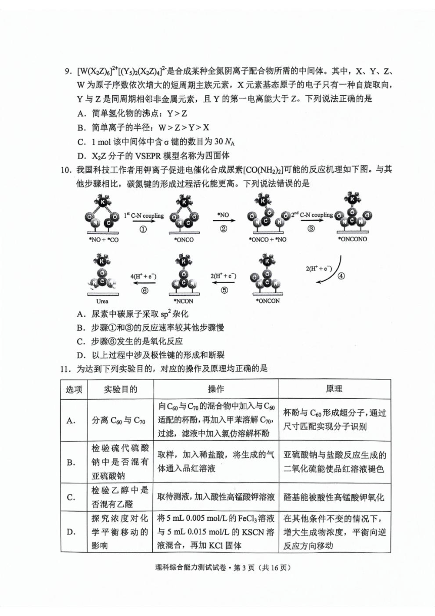 云南省2024届高三下学期3月第一次模拟考试 理综（PDF版含答案）
