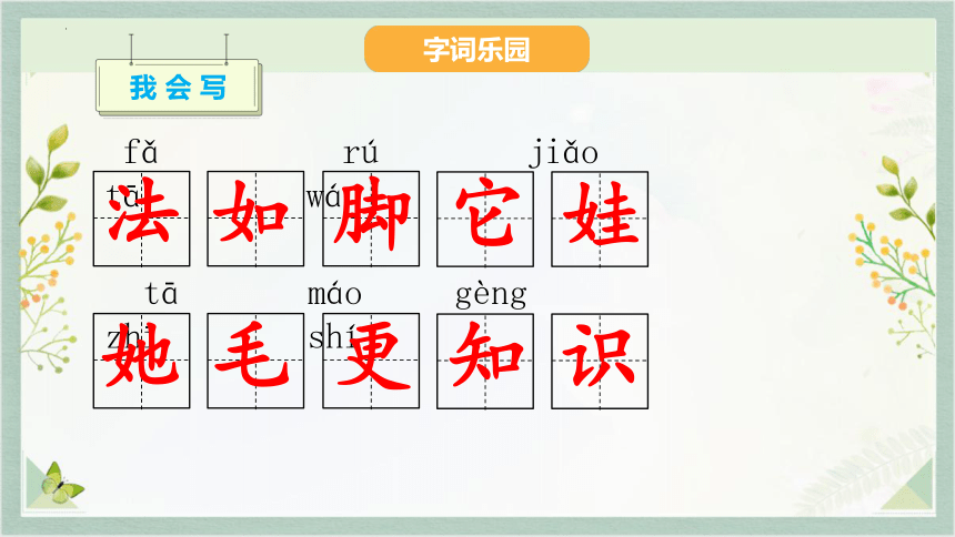 3 植物妈妈有办法 课件(共20张PPT)