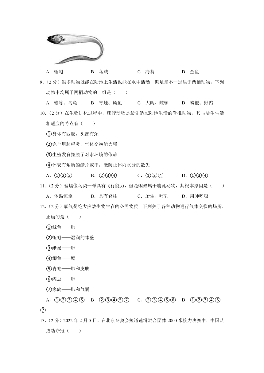 福建省漳州市招商局经济技术开发区海滨学校2022-2023学年八年级上学期期中生物试卷（word版+解析版）