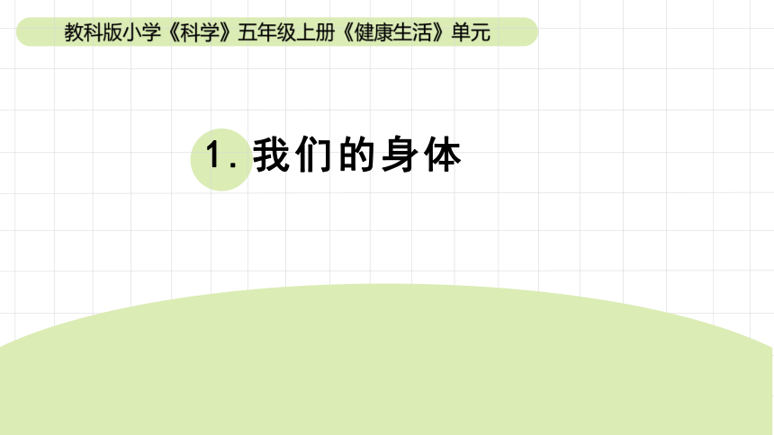 2023秋教科版五年级科学上册 4-1《我们的身体》（课件）(共20张PPT)