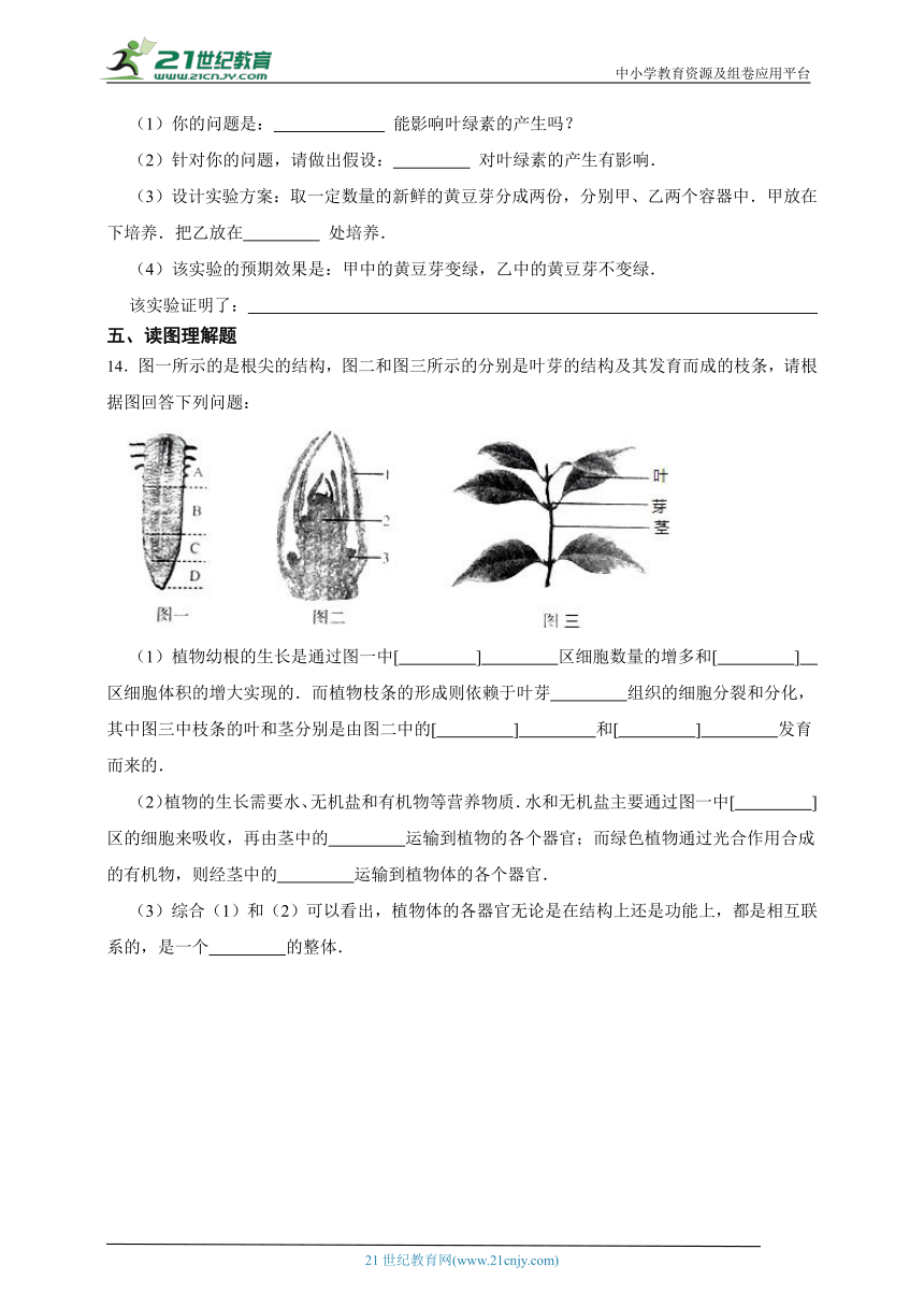 3.4绿色植物是生物圈中有机物的制造者一课一练（含解析）