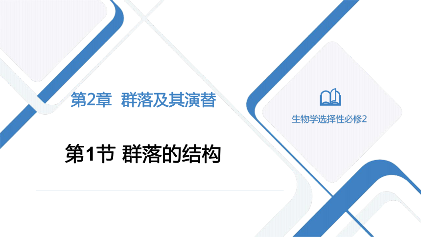 2.1群落的结构课件 （共33张PPT）人教版选择性必修2