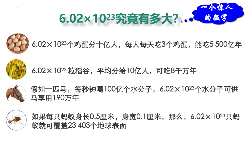 2.3.1 物质的量的单位——摩尔-（共82页）高一化学课件（人教版2019必修第一册）