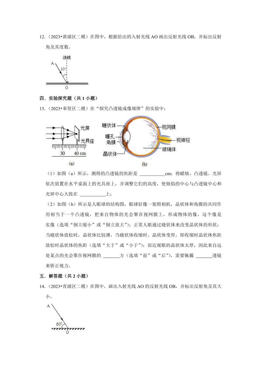 10凸透镜成像规律、光的反射-上海市2023年中考物理二模试题汇编【高频考点】（含答案）