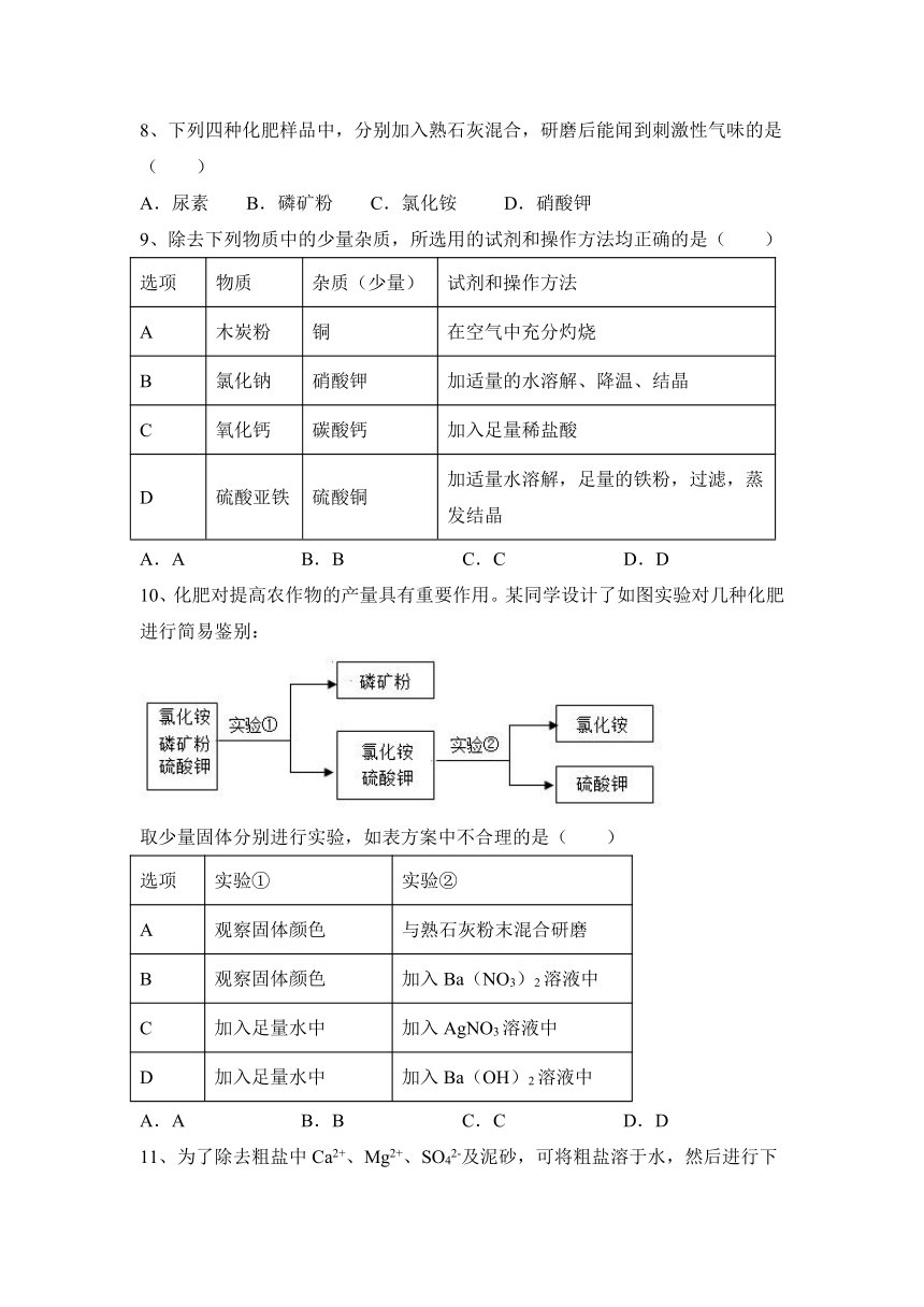 2023—2024学年人教版（五四学制）化学九年级全一册第四单元  盐 化肥  同步选题（含答案）