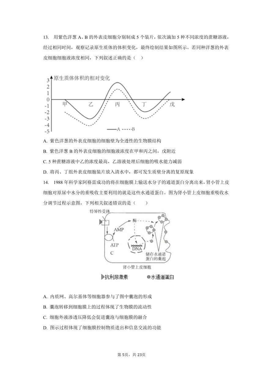 2023-2024学年重庆市西北狼教育联盟高三（上）开学生物试卷（Word含解析）