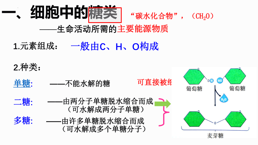 2.3 细胞中的糖类和脂质课件（共22张PPT）-2023-2024学年高一上学期生物人教版（2019）必修1