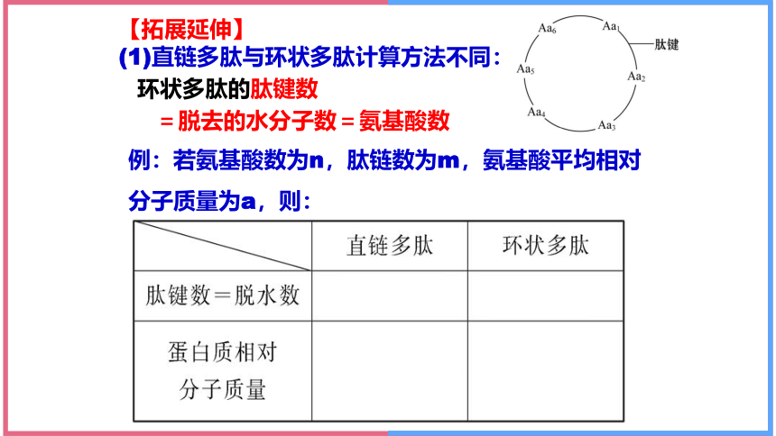 2.4蛋白质是生命活动的主要承担者(第2课时) 课件(共30张PPT)