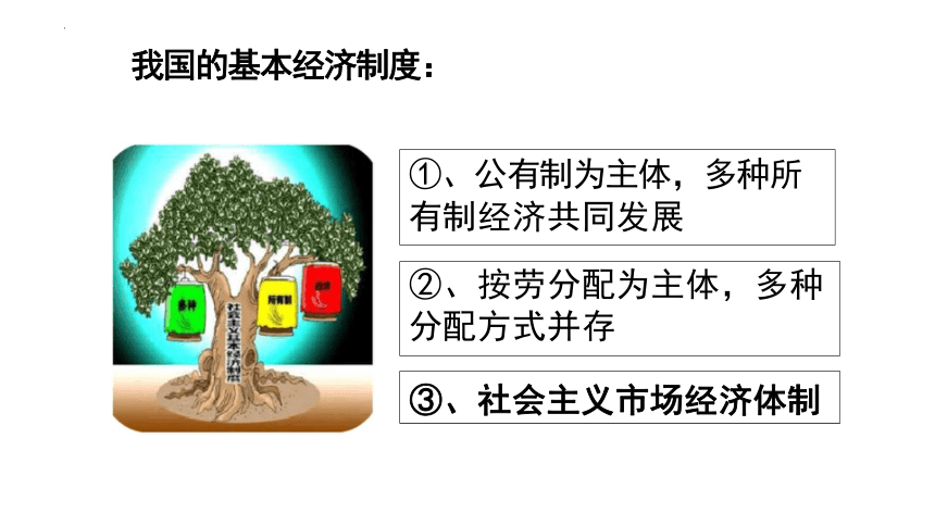 5.3 基本经济制度 课件(共33张PPT)-2023-2024学年统编版道德与法治八年级下册