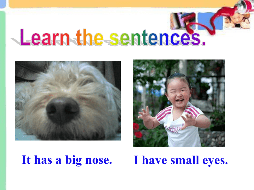 Unit2 Topic 1 I have a small nose 第1课时 课件（仁爱科普版七年级上册）