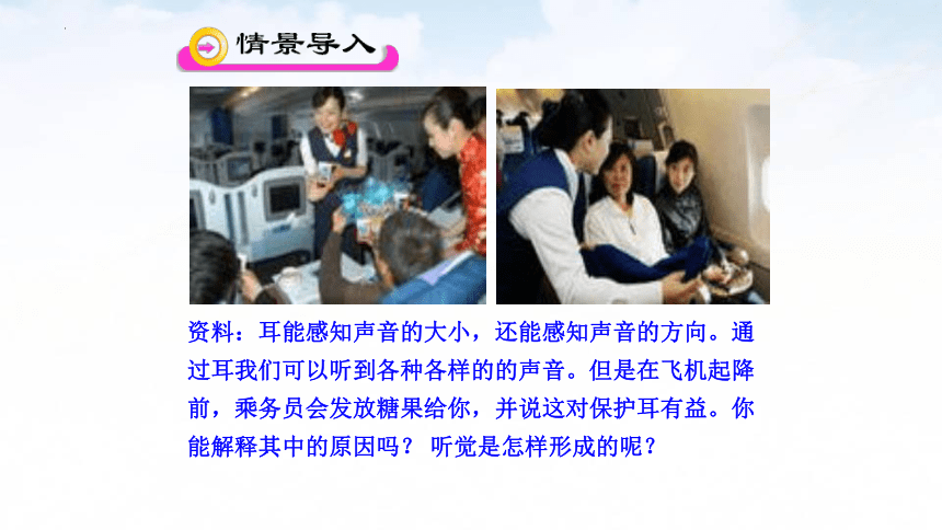 4.12.3 感知信息（耳）课件（共12张PPT）苏教版七年级生物下册