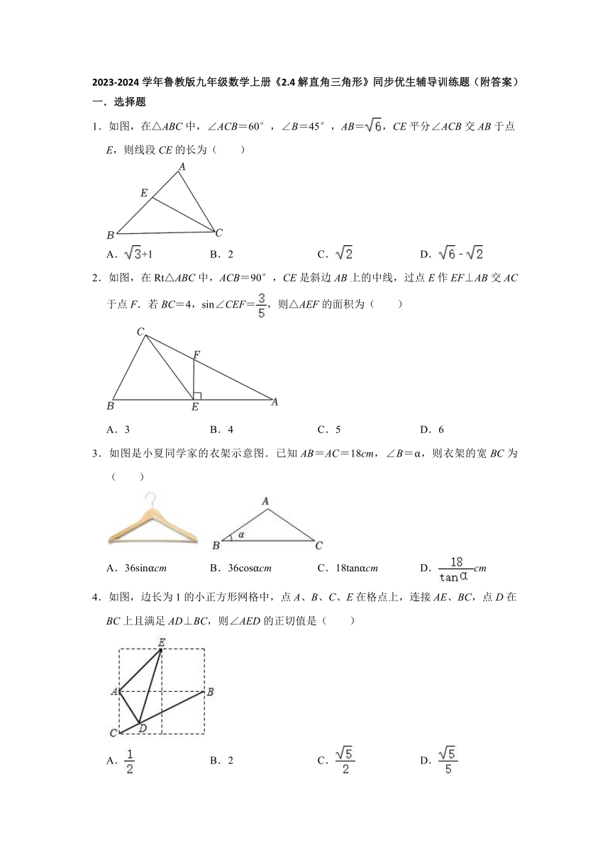 2.4解直角三角形　同步优生辅导训练题　　2023-2024学年鲁教版（五四制）九年级数学上册（含答案）