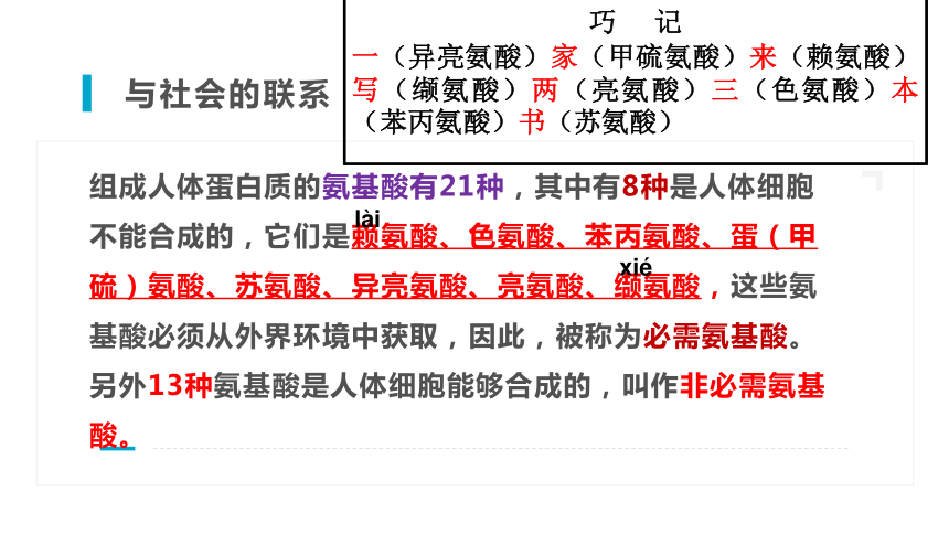 2.4蛋白质是生命活动的主要承担者课件(共30张PPT)-人教版（2019）必修1