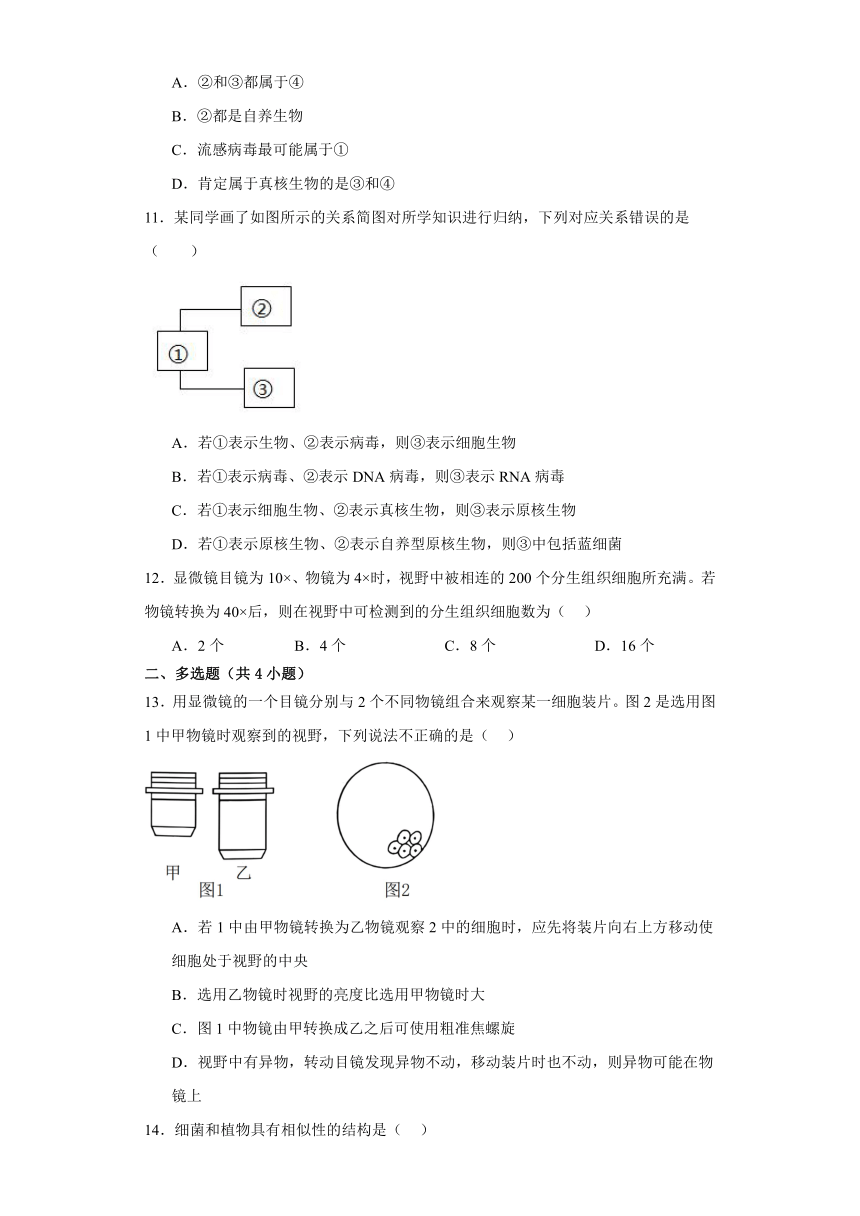 1.2细胞的多样性和统一性检测练习（有答案）2023-2024学年高一上学期生物人教版必修1