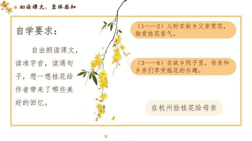 3《 桂花雨》 课件(共26张PPT)