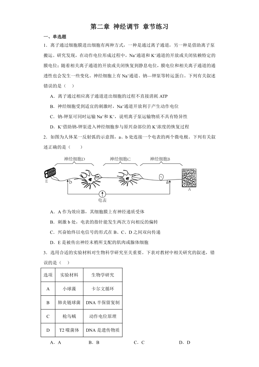 高中生物学浙科版（2019）选择性必修1 第二章 神经调节 章节练习（含答案解析）