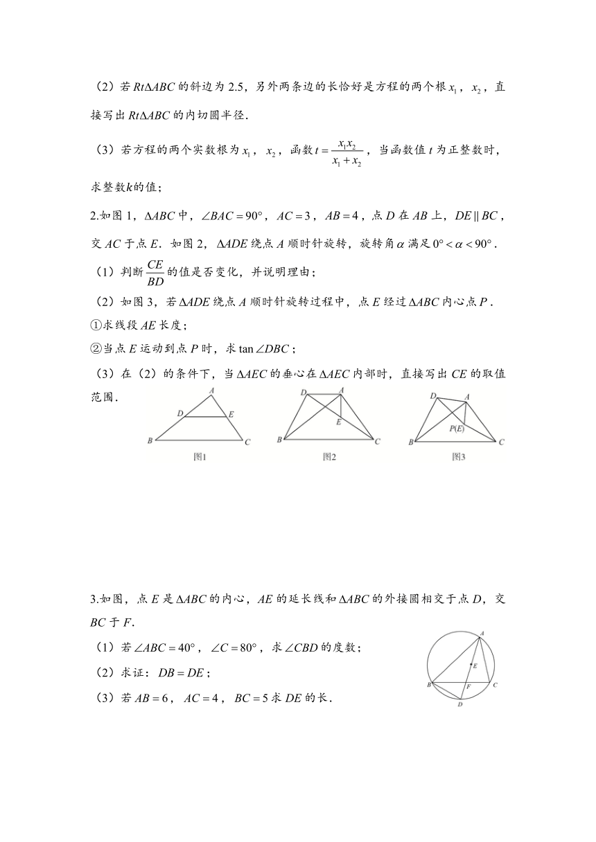 2024年九年级中考数学压轴题锦囊妙计—三角形内切圆（含答案 ）