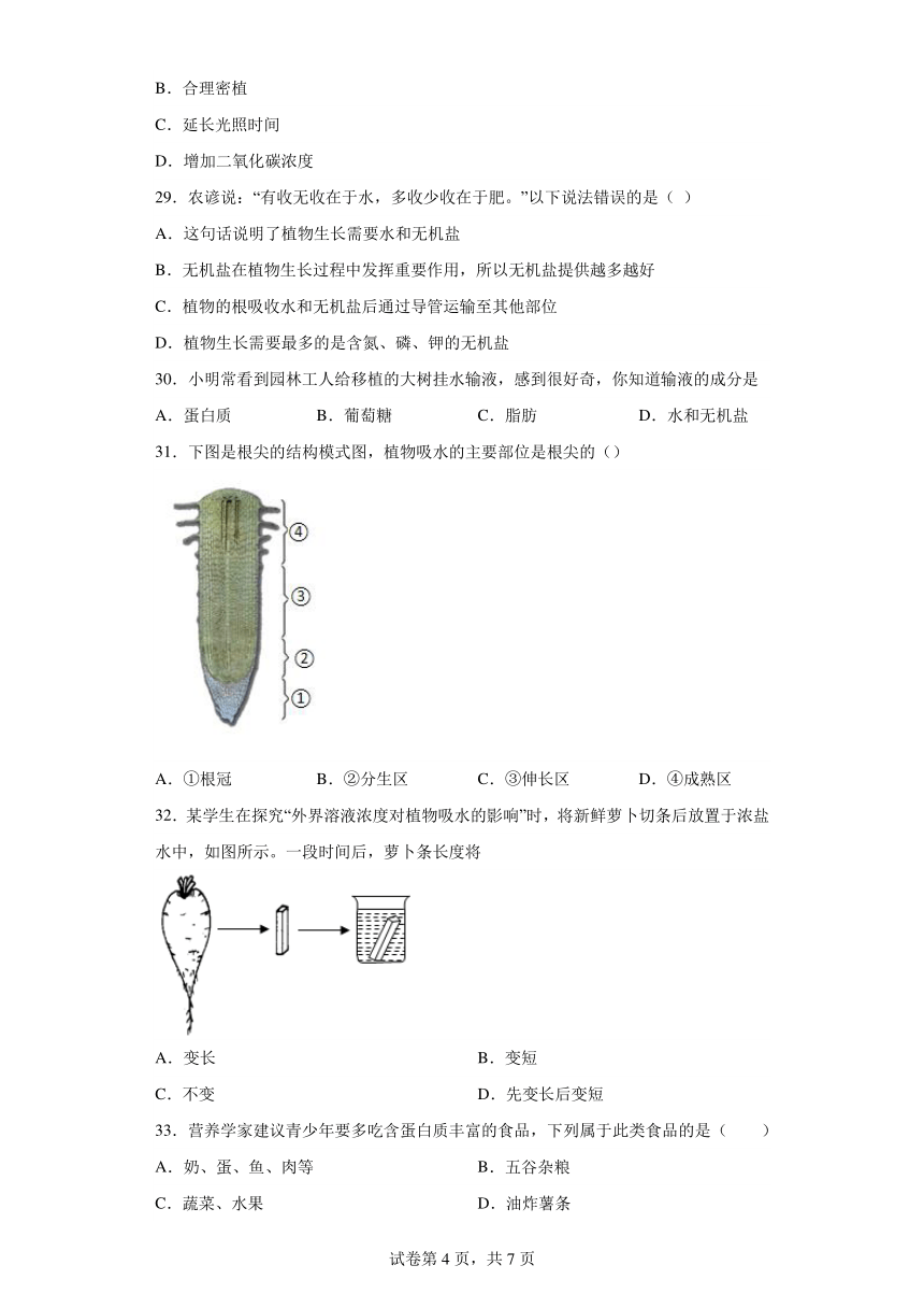 江苏省无锡市江阴市中学校2023-2024学年七年级上学期12月检测生物试卷（含解析）