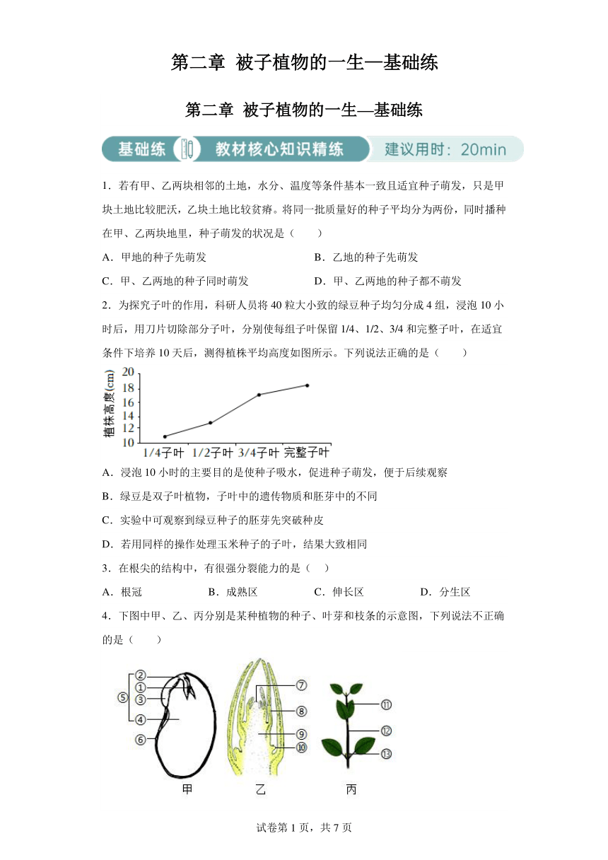 第三单元第二章 被子植物的一生—基础练 （含解析）人教版生物七上