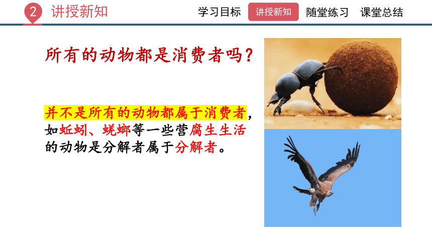 1.2.2生物与环境组成生态系统课件(共45张PPT) 人教版生物七年级上册