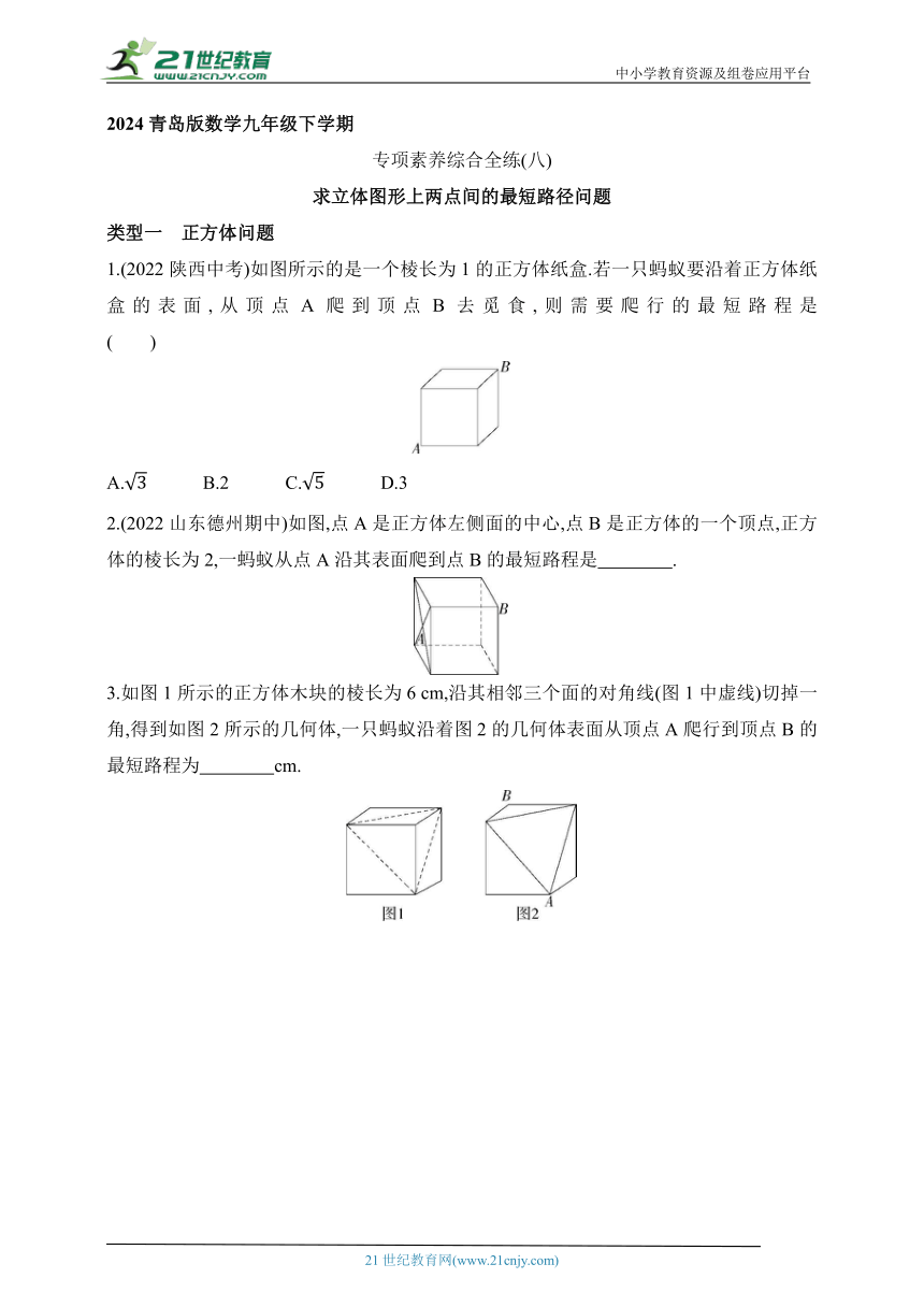 2024青岛版数学九年级下学期课时练--专项素养综合全练（八）求立体图形上两点间的最短路径问题（含解析）