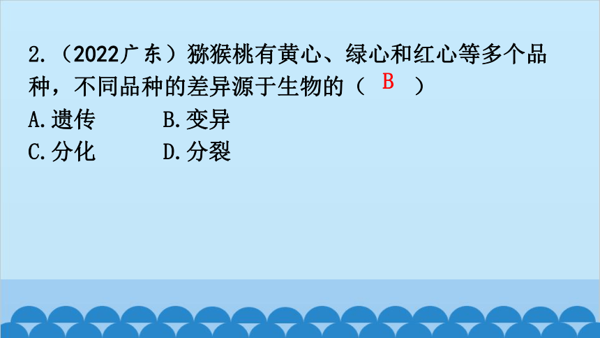 6.20生物的遗传和变异 章 末 总 结课件(共27张PPT)北师大版生物八年级上册