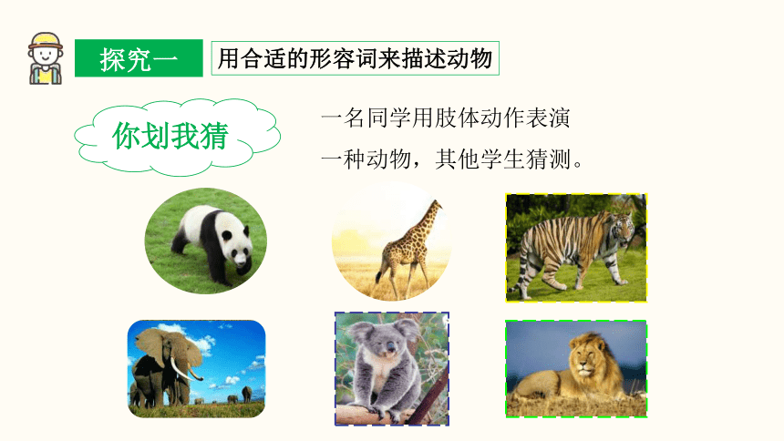 Unit 5 Why do you like pandas? Section B (1a~1d) 课件 （23张PPT，内嵌音频）2023-2024学年人教版英语七年级下册