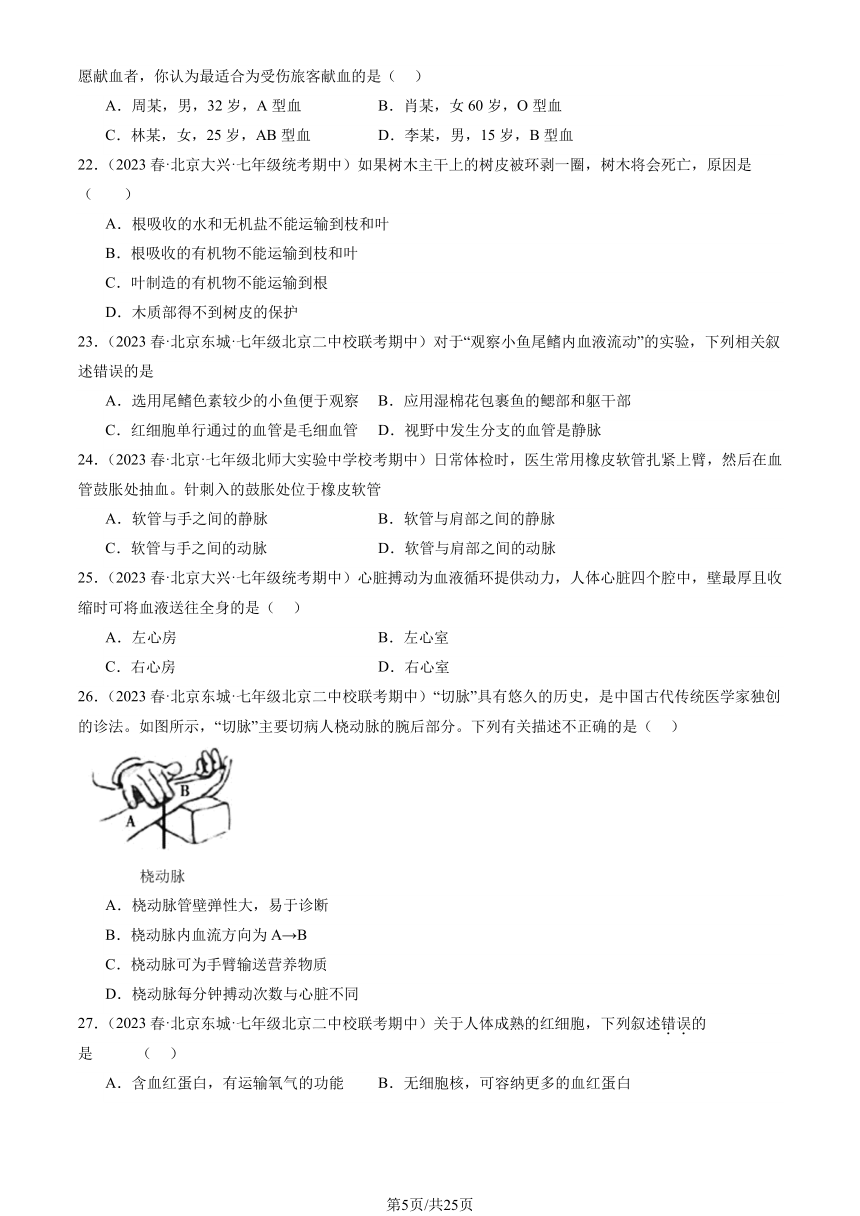 2023北京重点校初一（下）期中生物汇编：生物体内的物质运输章节综合习题（PDF版含解析）