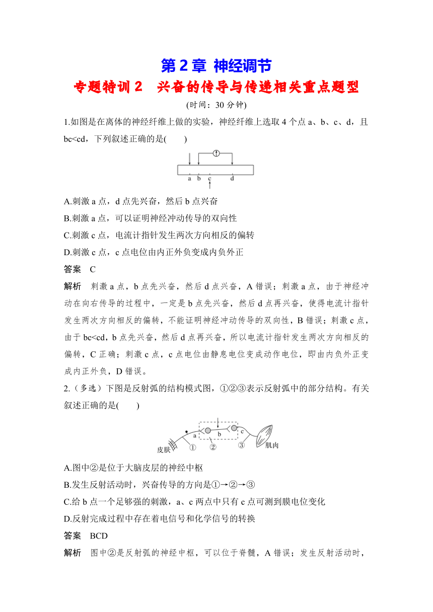 人教版（2019）选择性必修1 第2章　神经调节 专题特训2　兴奋的传导与传递相关重点题型（含解析）