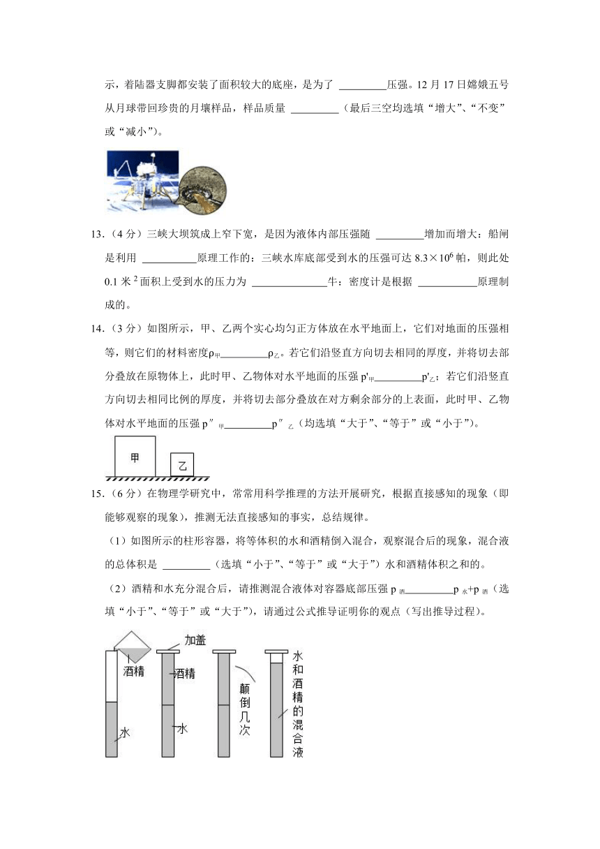 2023-2024学年上海市风华中学九年级（上）期中物理试卷（无答案）