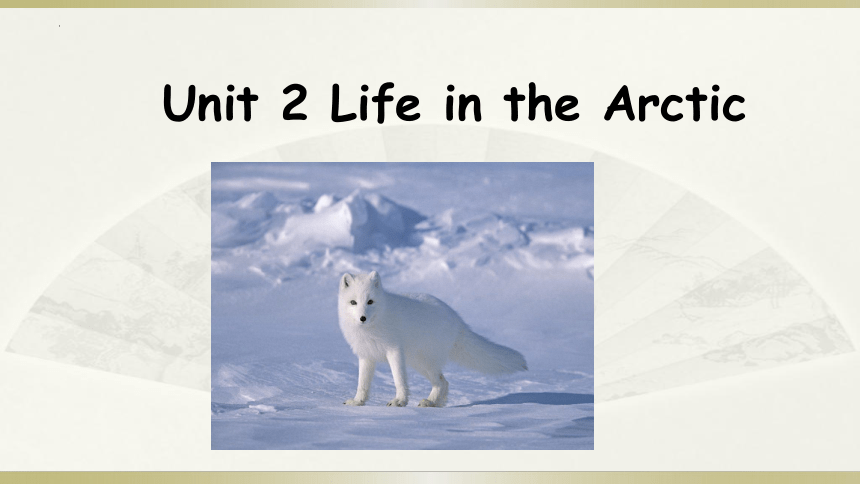 Unit2  Life in the Arctic 课件(共15张PPT)