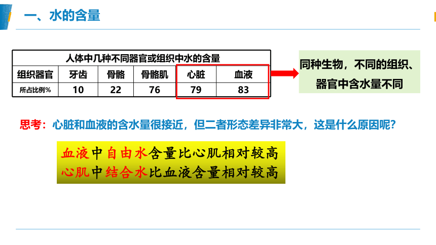 2.2细胞中的水-结构功能课件(共17张PPT)-人教版（2019）必修1