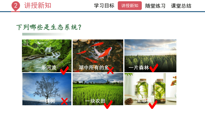 1.2.2生物与环境组成生态系统课件(共45张PPT) 人教版生物七年级上册