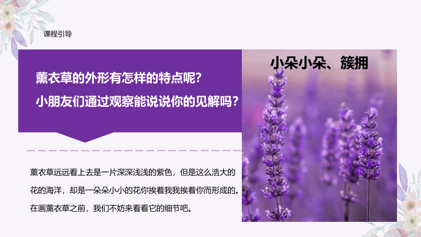 美术社团课程《浪漫的薰衣草》小学延时服务(共27张PPT)