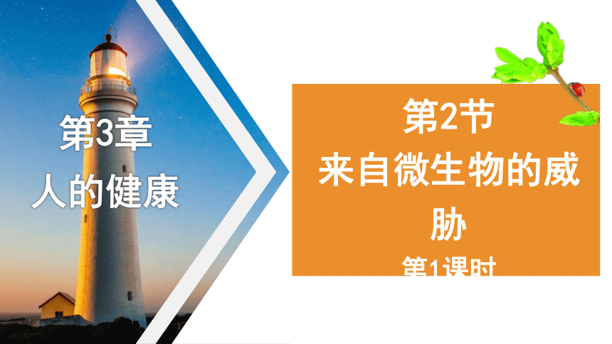 3.2 来自微生物的威胁 第1课时—2023-2024学年浙教版科学九年级下册（课件 29张ppt）