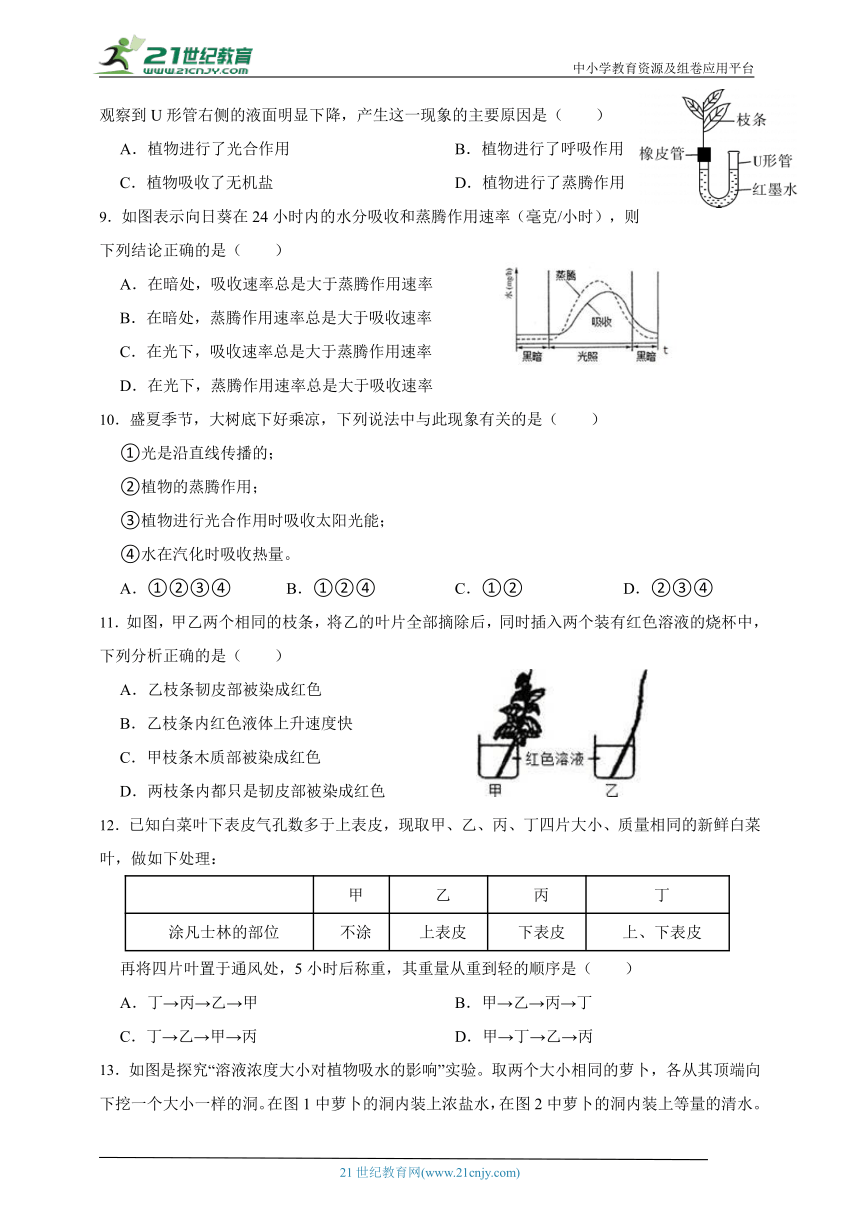 华师大版科学八上期末专题复习：植物体中的代谢（含答案）