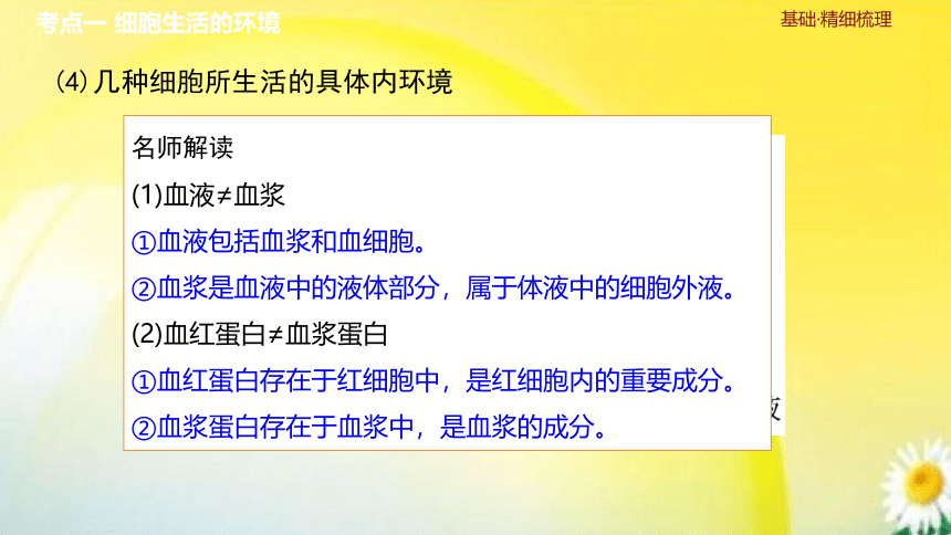 高三生物总复习课件-选择性必修1 稳态与调节：第29讲　人体的内环境与稳态(共29张PPT)