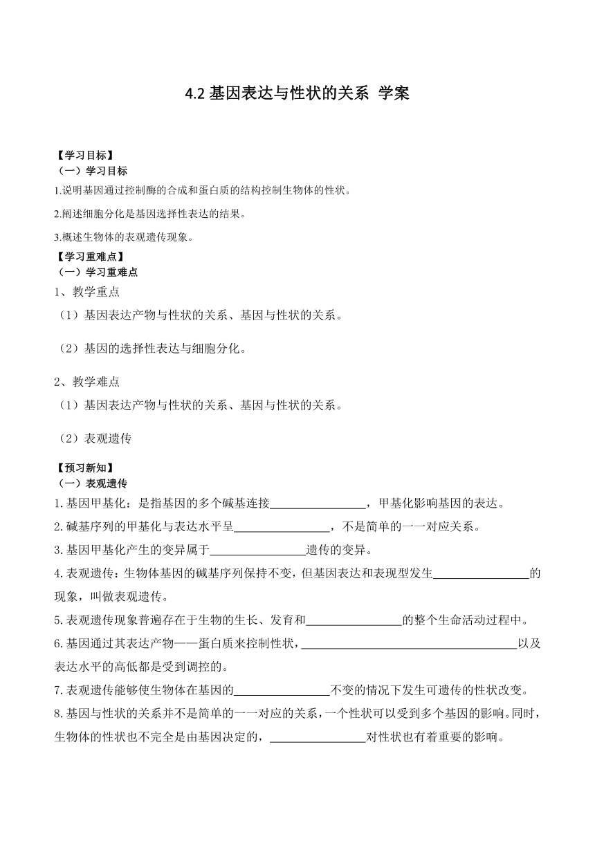 4.2基因表达与性状的关系导学案-2023-2024学年高一下学期生物人教版必修2（含答案）