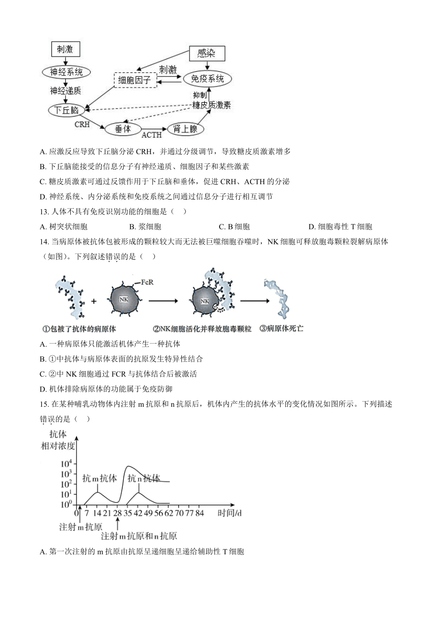 2023北京丰台高二（上）期中生物（A卷）（教师版）（有解析）