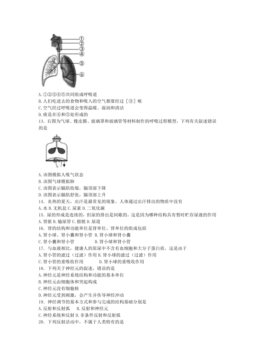 云南省玉溪市峨山县2022-2023学年七年级下学期期末考试生物试题（含答案）