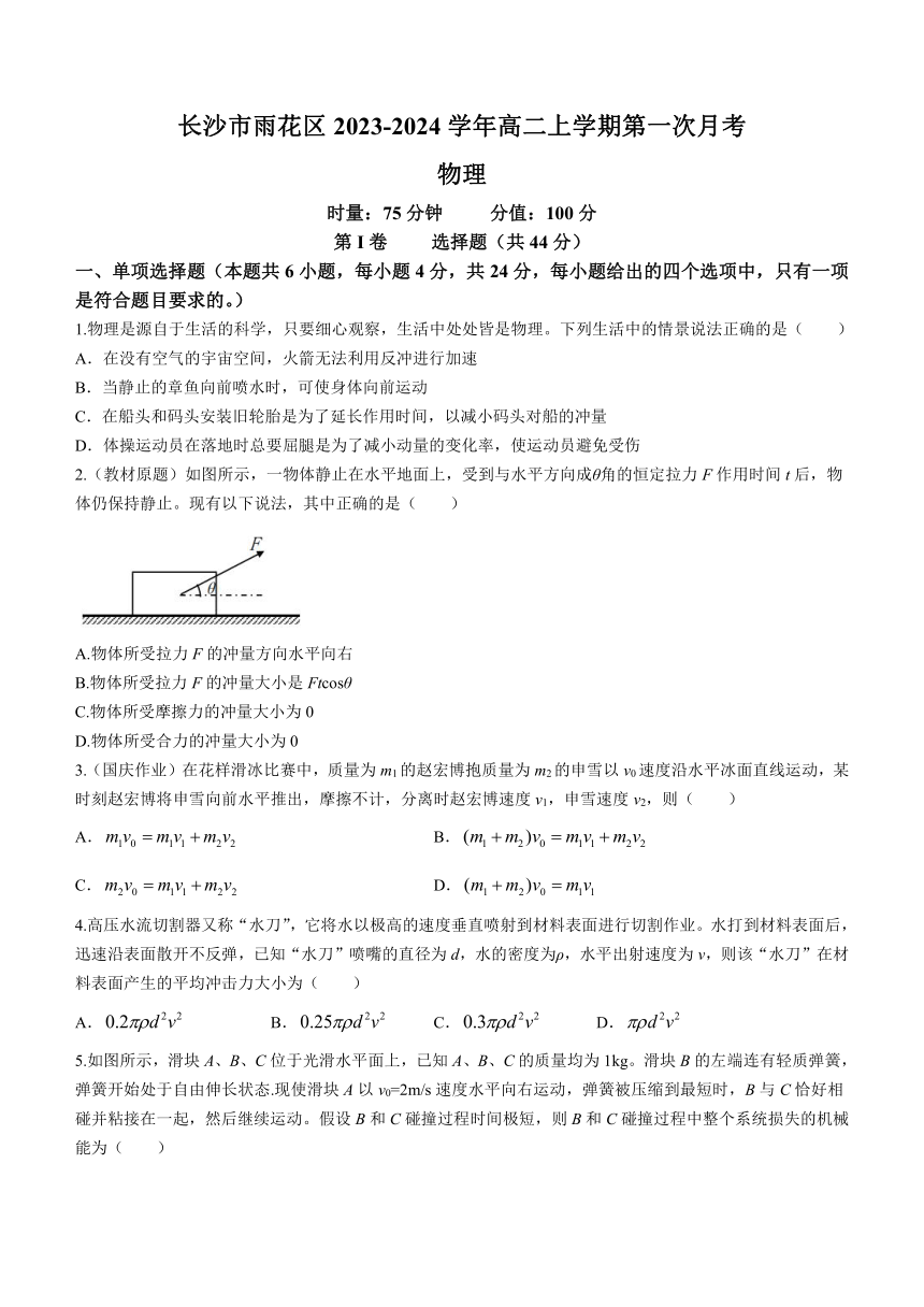 湖南省长沙市雨花区2023-2024学年高二上学期第一次月考物理试题（含答案）
