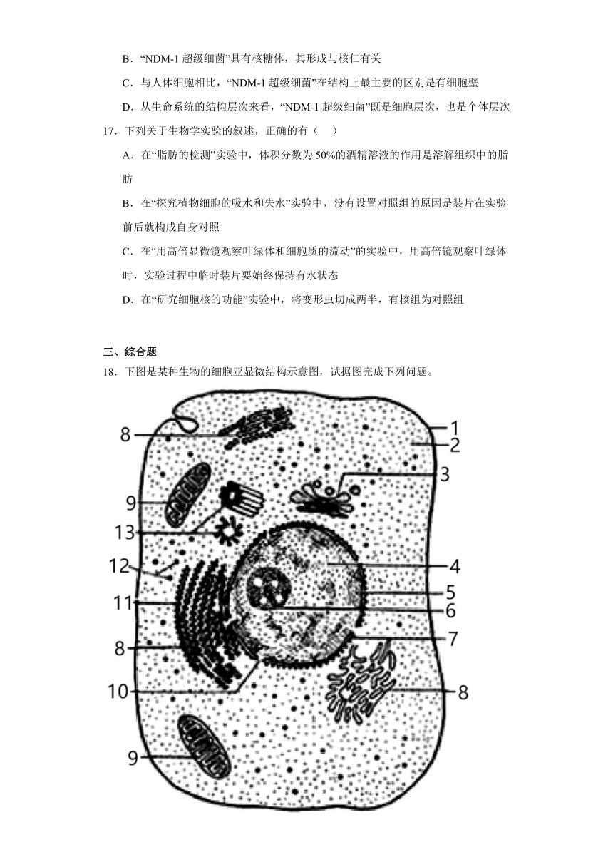 3.3细胞核的结构和功能 练习  （有解析）2023-2024学年高中生物学人教版（2019）必修1