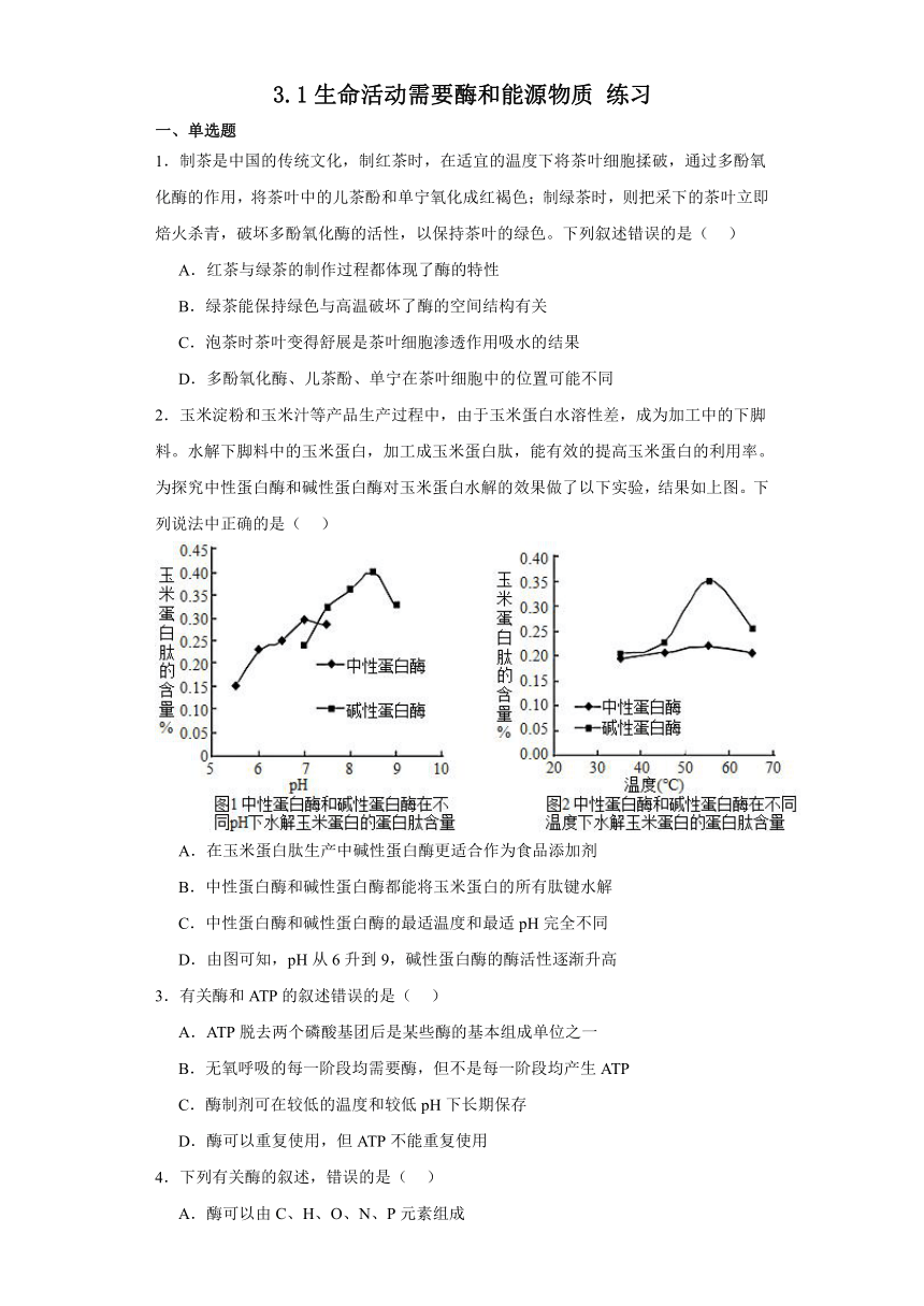 3.1生命活动需要酶和能源物质 练习（解析版）