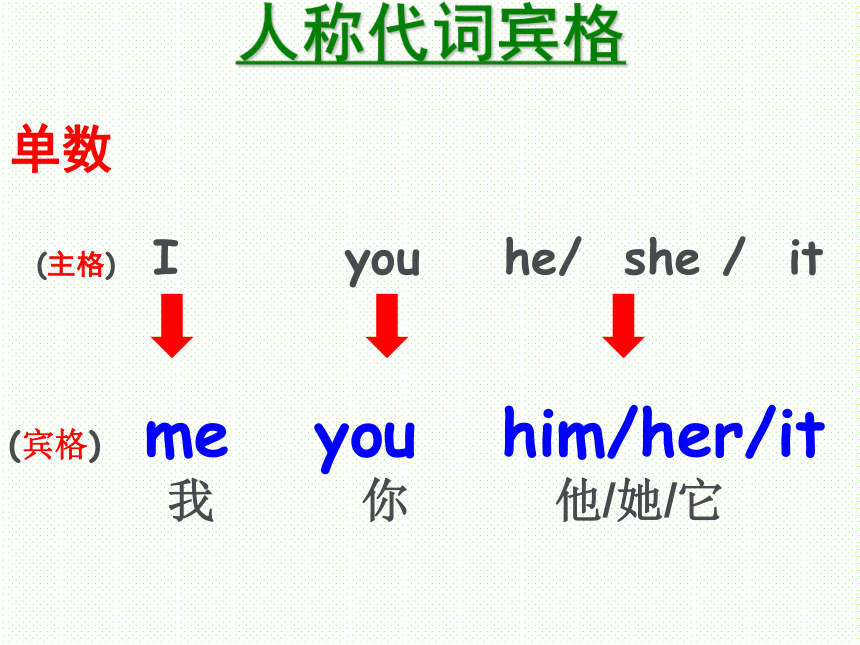 初中新概念英语第一册 上半册Lesson 2323-24课件(共40张PPT)