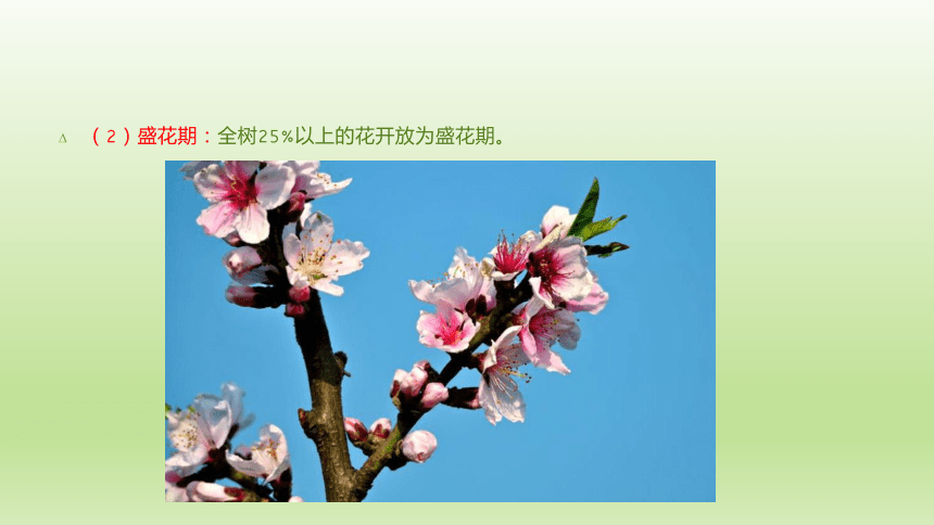 1.3.5花芽分化与开花结果 课件(共38张PPT）-《果树生产技术》同步教学（中国农业出版社）