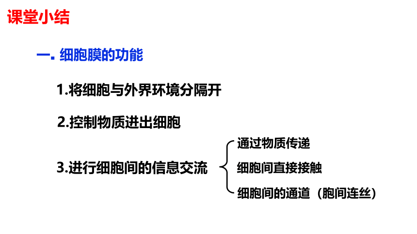 3.1细胞膜的结构和功能 课件(共53张PPT)